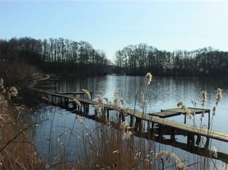 Nettetal : Im Winter an den Krickenbecker Seen